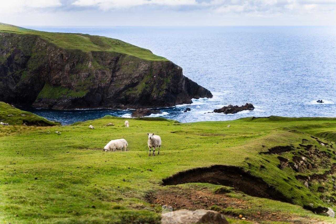 Arranmore Glamping Aphort المظهر الخارجي الصورة